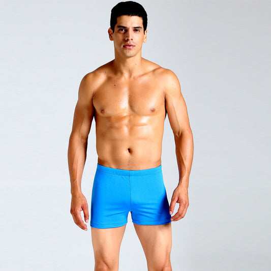 Multicolor Men's Plus Size Boxer Swim Shorts
