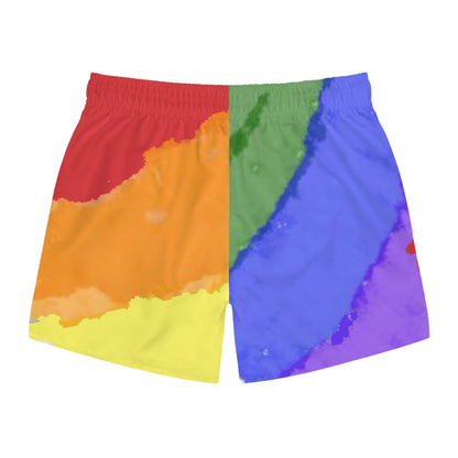 Pride, Gay Pride, Men's swimsuit, Men's swimming trunks, Men's bikini swimsuit, Men's speedo, Queer Clothes, gay bathing suit, rainbow flag
